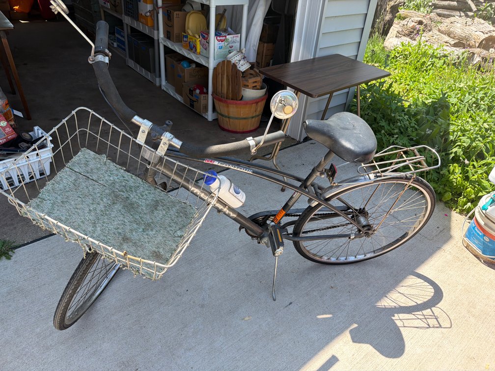 Old Murray Bicycle
