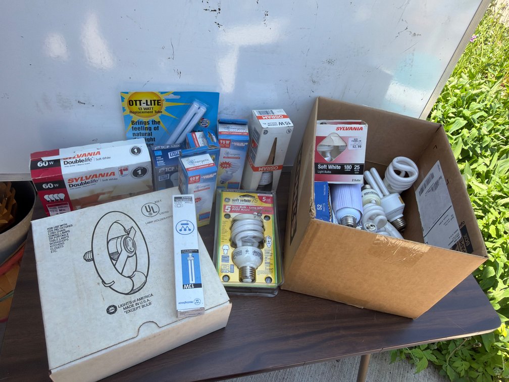 Variety of Light Bulbs