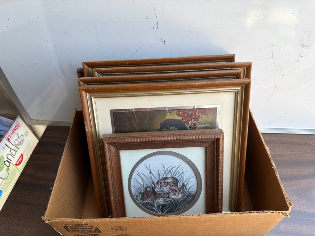 Vintage Bird Pictures, Others