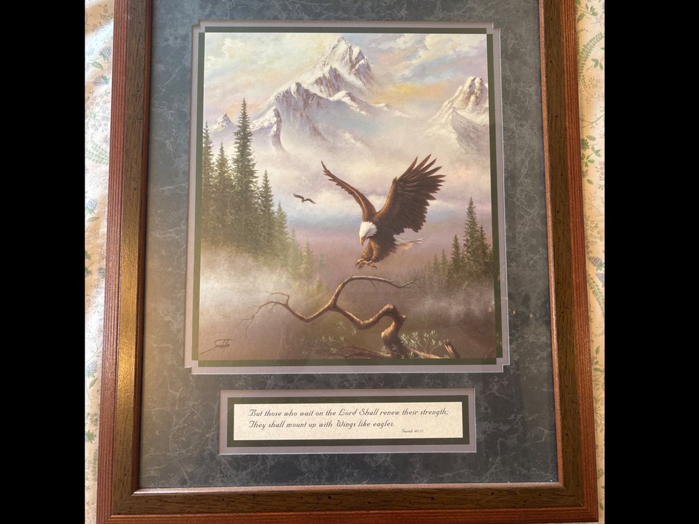 Home Interior Eagle Print