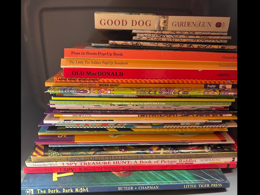 Tote of Children’s Books and Game Books