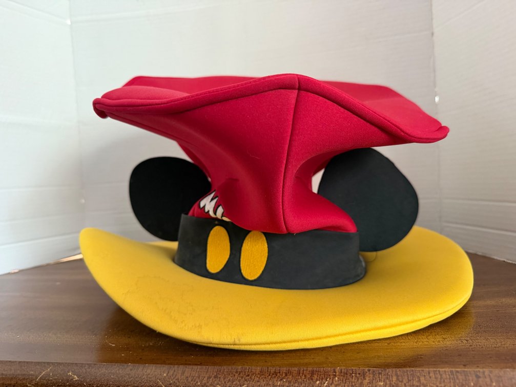 Mickey Mouse Hat
