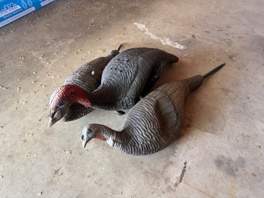 Turkey Decoys-3