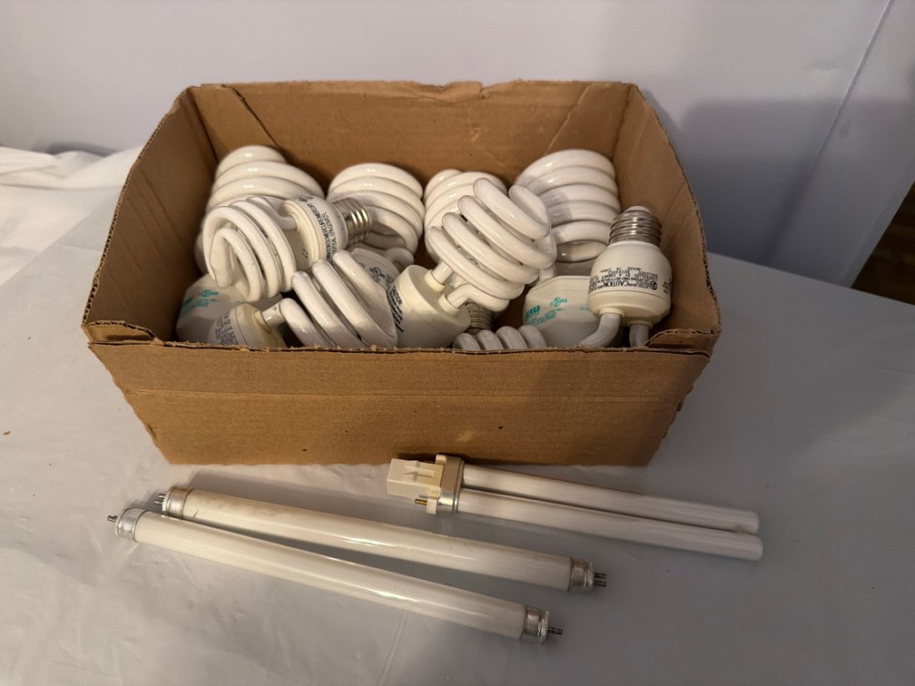 Light Bulbs