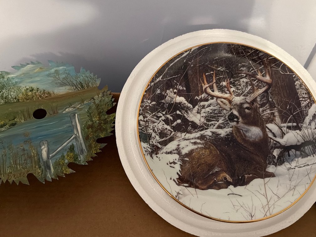 Collector Plate, Painted Saw