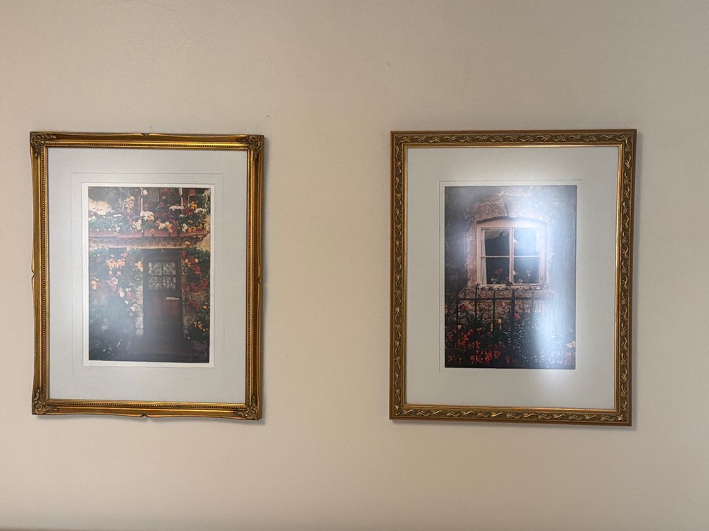 2 Floral Pictures - 21.5x17.5in