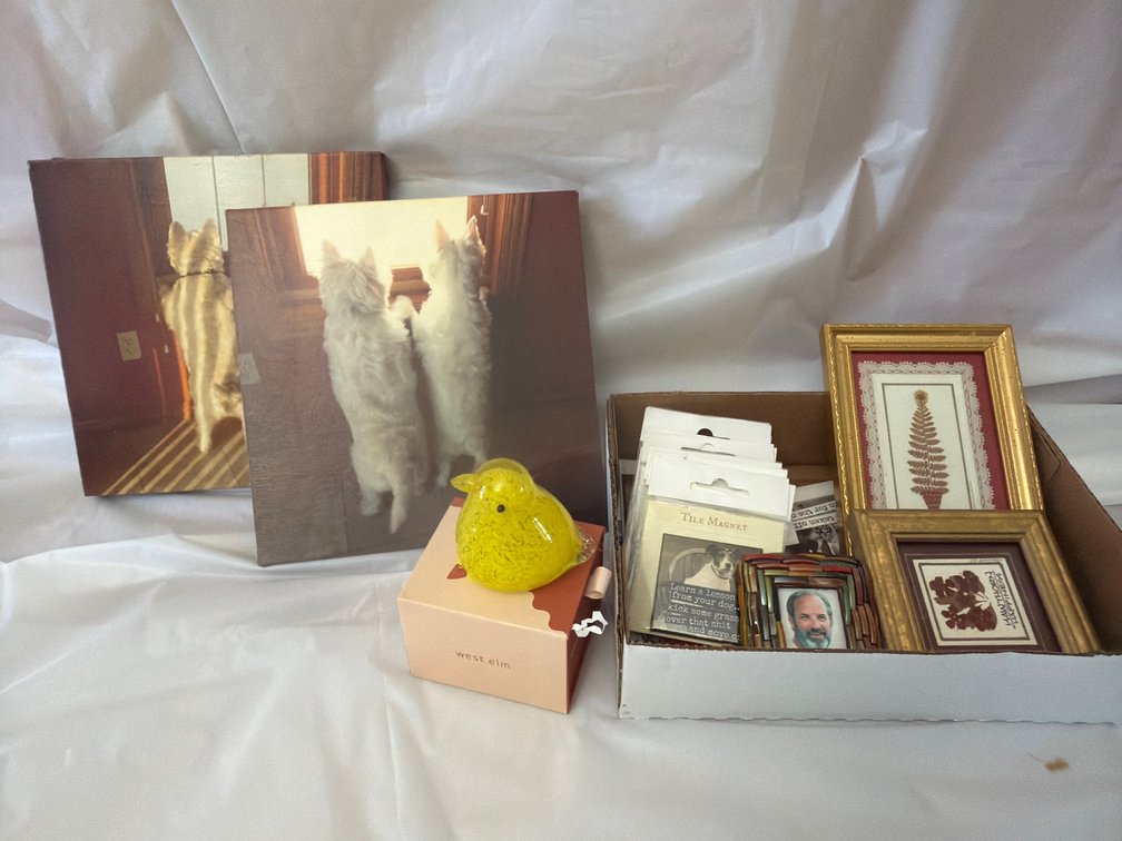Canvas Pictures, Magnets, Glass Chick & More