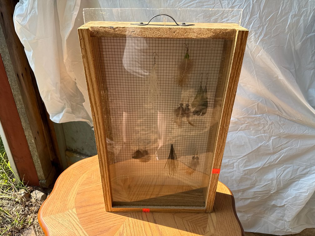 Display Case, Earrings