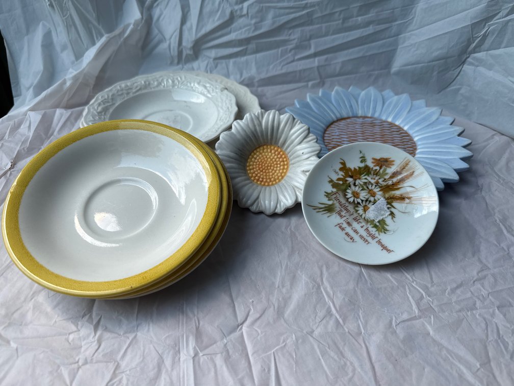 Variety of Plates, Decor