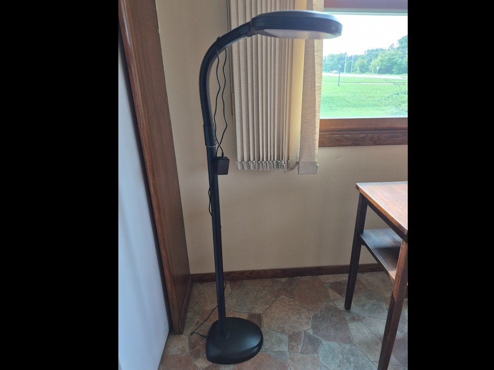 Verilex Floor Lamp