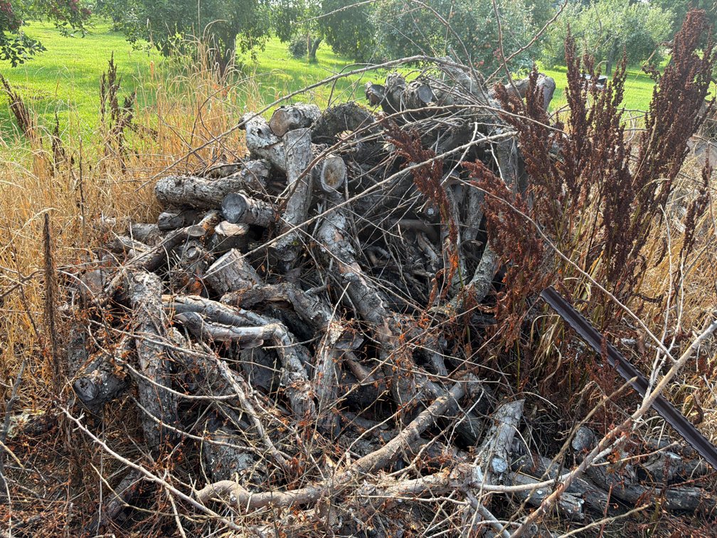 Pile of Apple Wood, Cherry Wood, Cedar