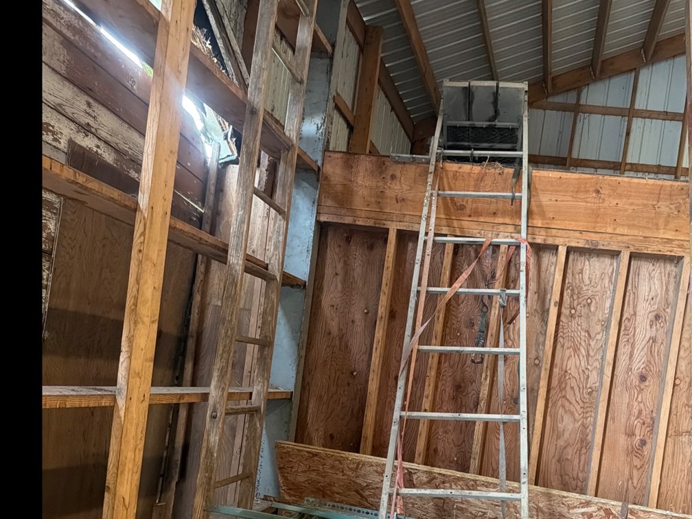 Ladder Deer Stand