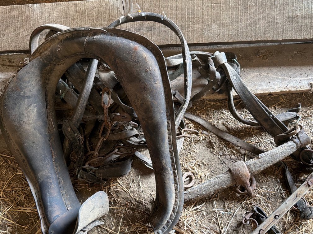 Horse Accessories-Yoke, Harness, Collar