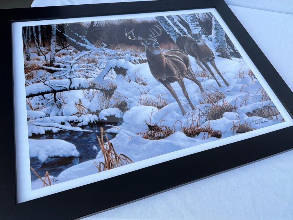 28.5” X 22.5” Numbered Framed Print