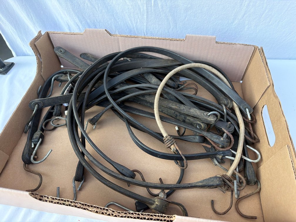 Bungee Straps