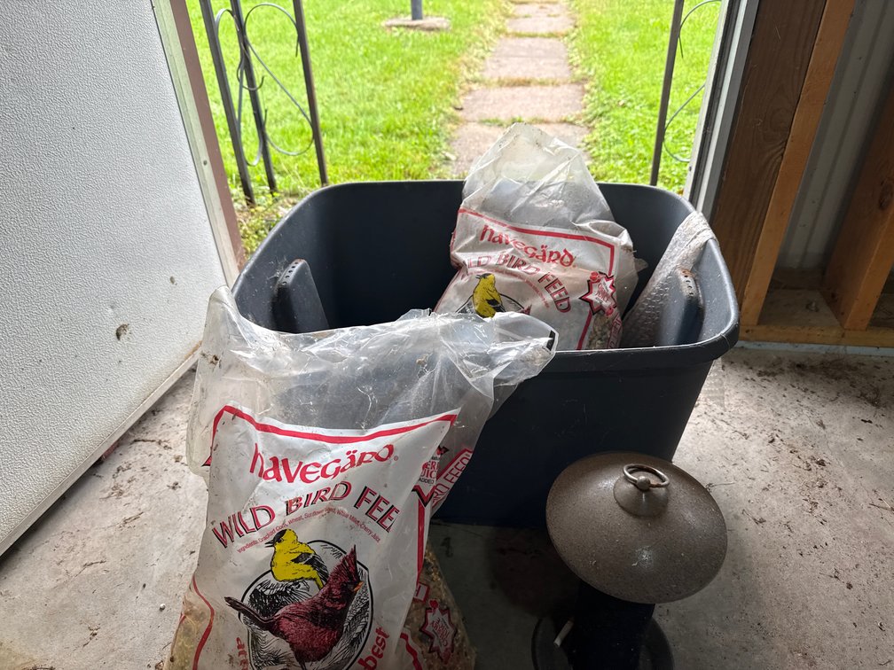 Tote of Bird Feed, Bird Feeder