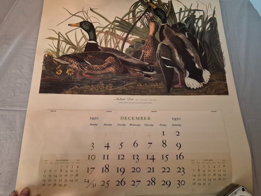 1950/51 Large Paper Calendar