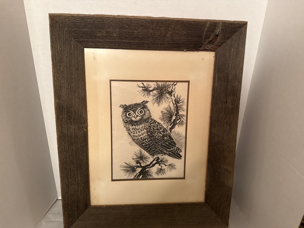 23”x19” Owl Picture
