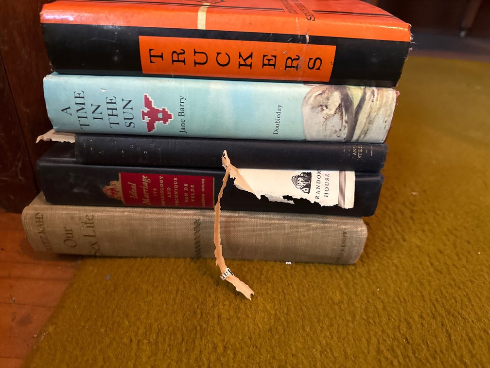 Variety of Books