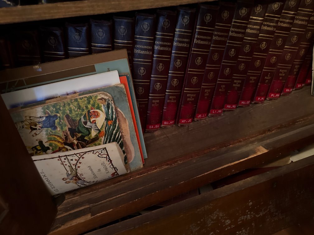 Books - Various Books on Shelf