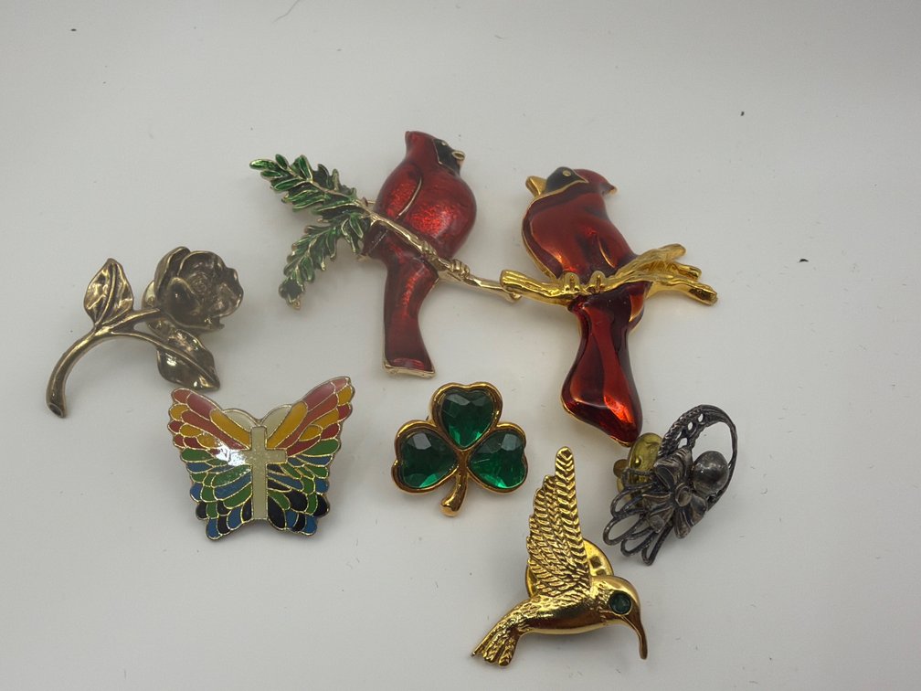 Cardinal And Other Pins