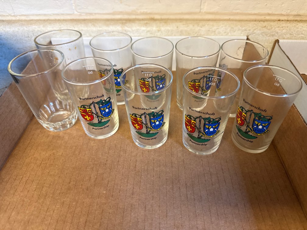10 Shot Glasses