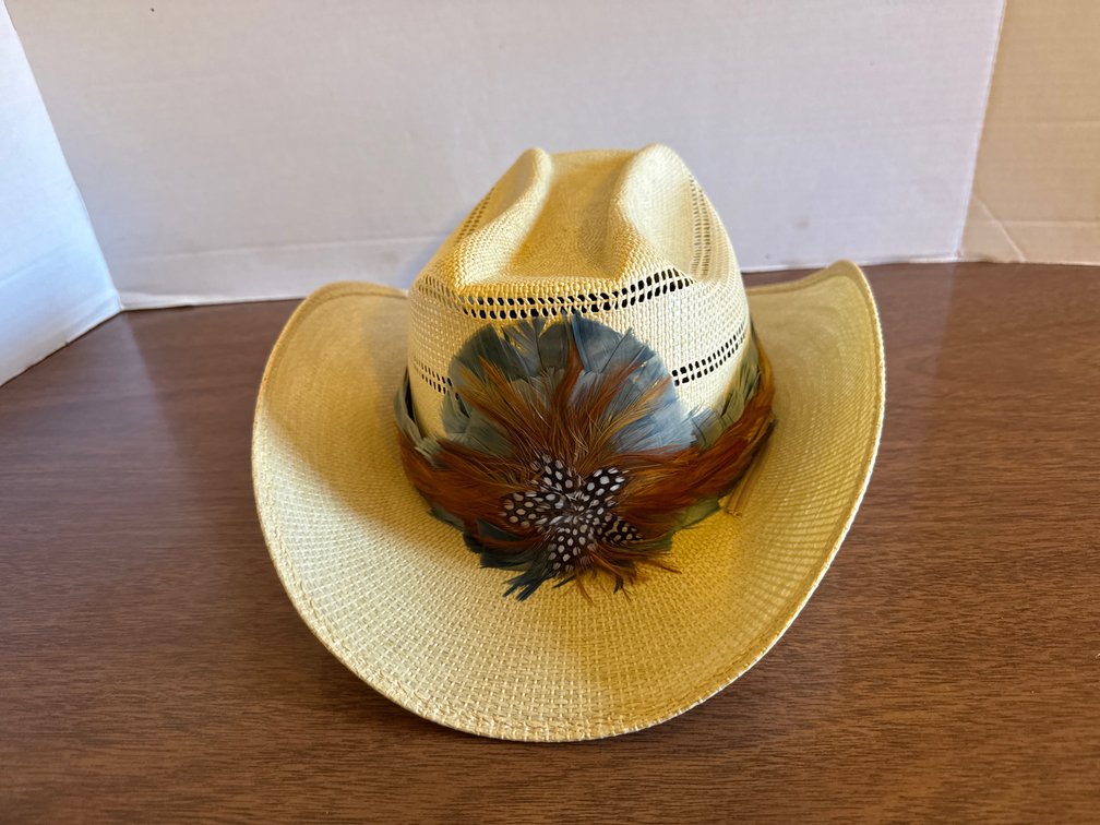 Straw Cowboy Hat With Feather HatBand