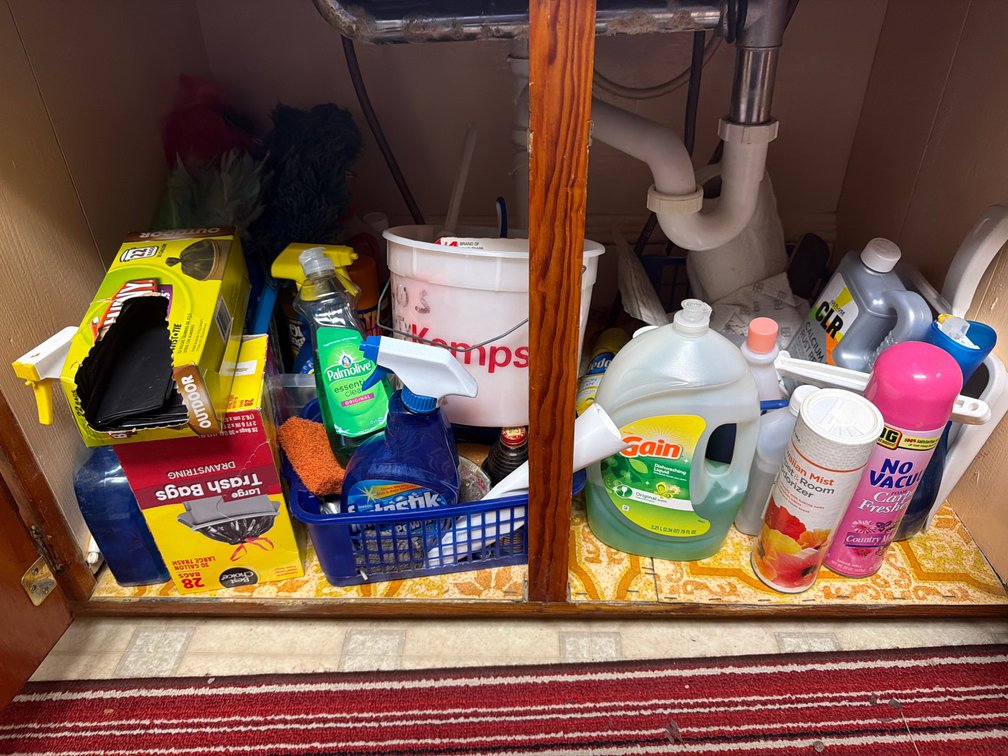 Cupboard of  Cleaning Supplies