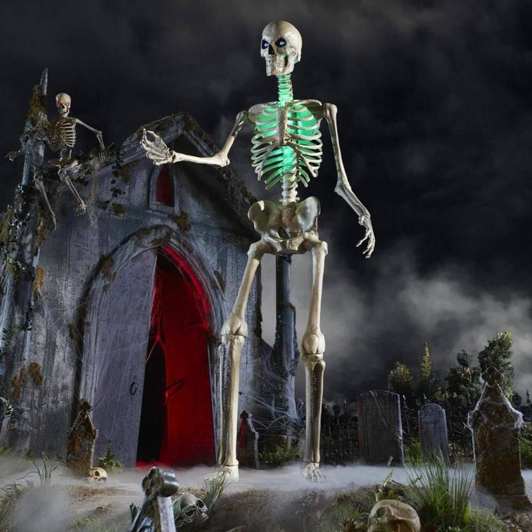 Color Changing LED 12 ft. Skelly Lighting Kit