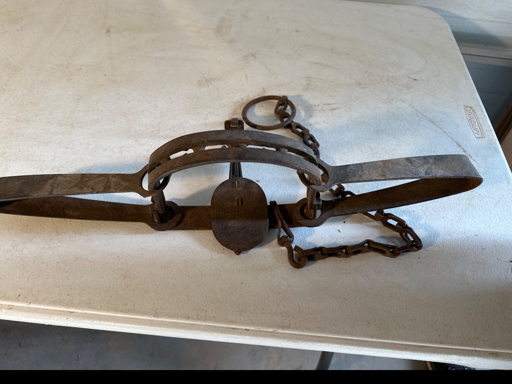 Triumph 415X High Grip Bear Trap