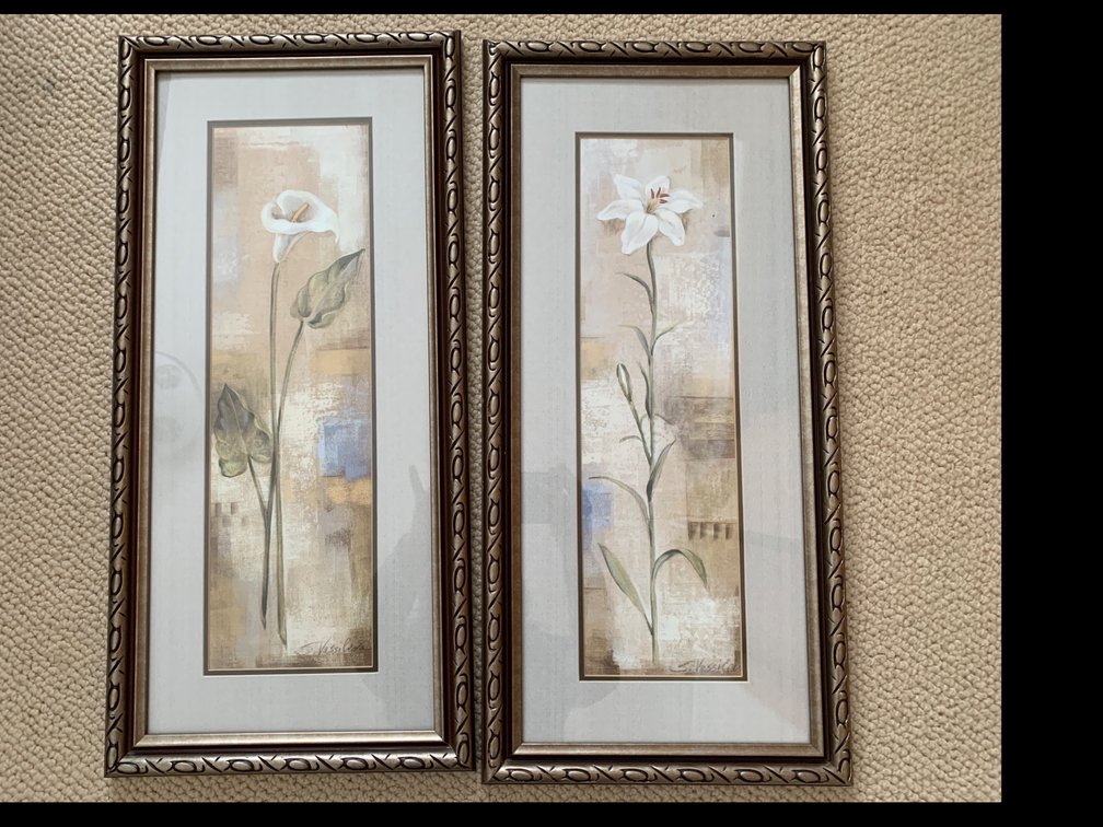2 Spring Floral Framed Pictures