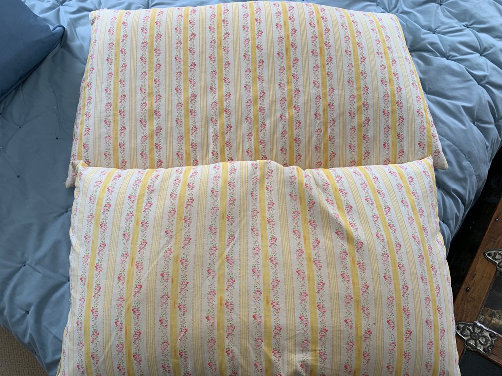 2 Down Pillows