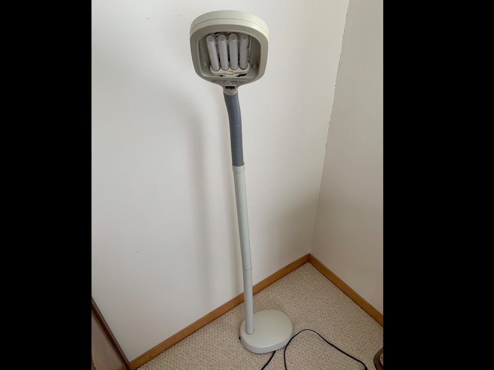 Adjustable Floor Lamp