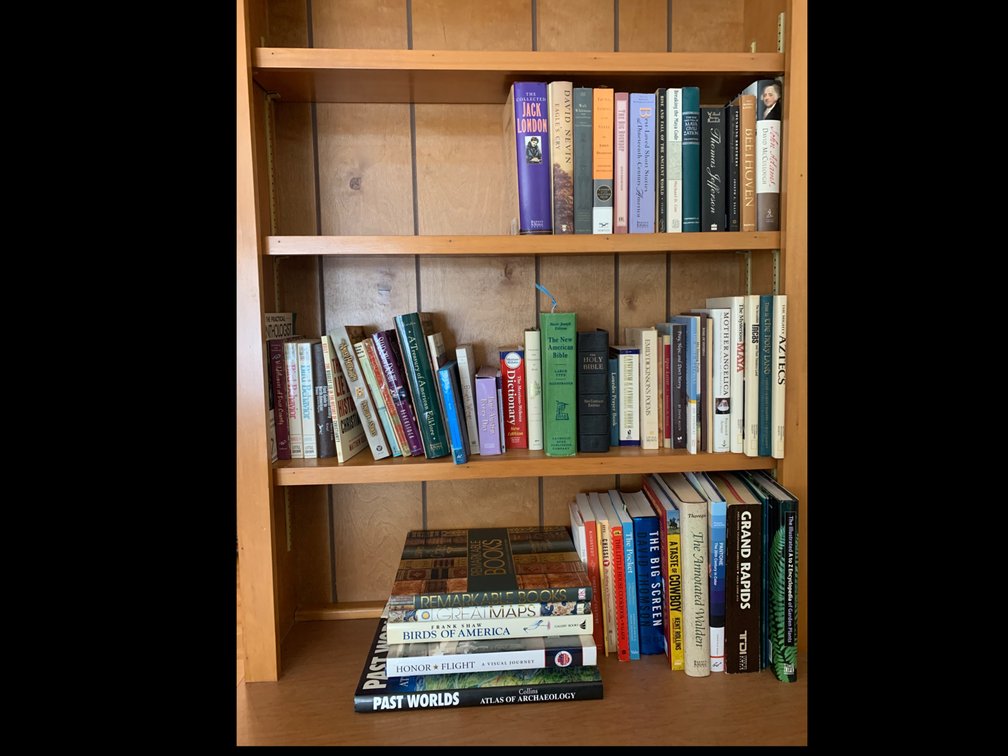 3 Shelves of Books - Books Only