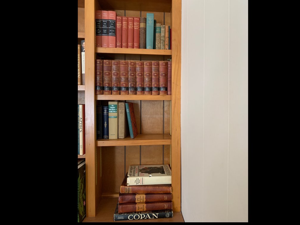 4 Shelves of Books- Books Only
