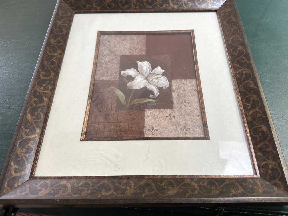 Framed Flower Picture