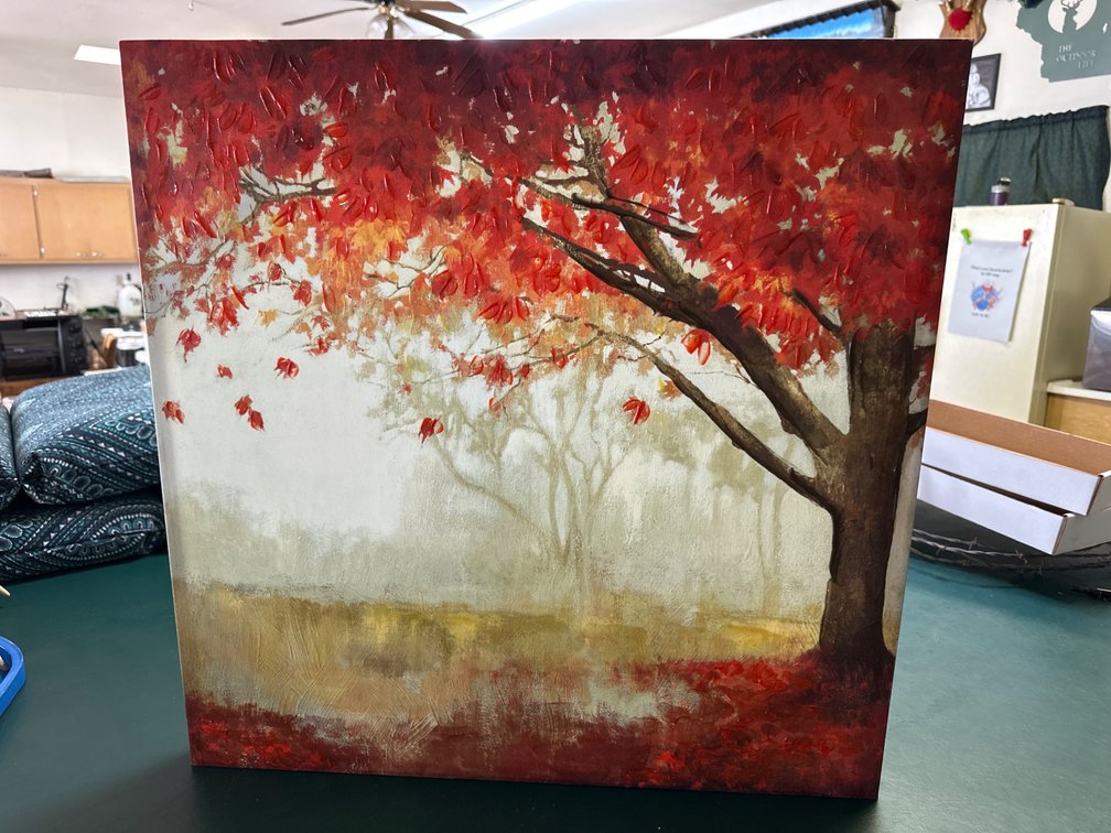 Canvas Painting 