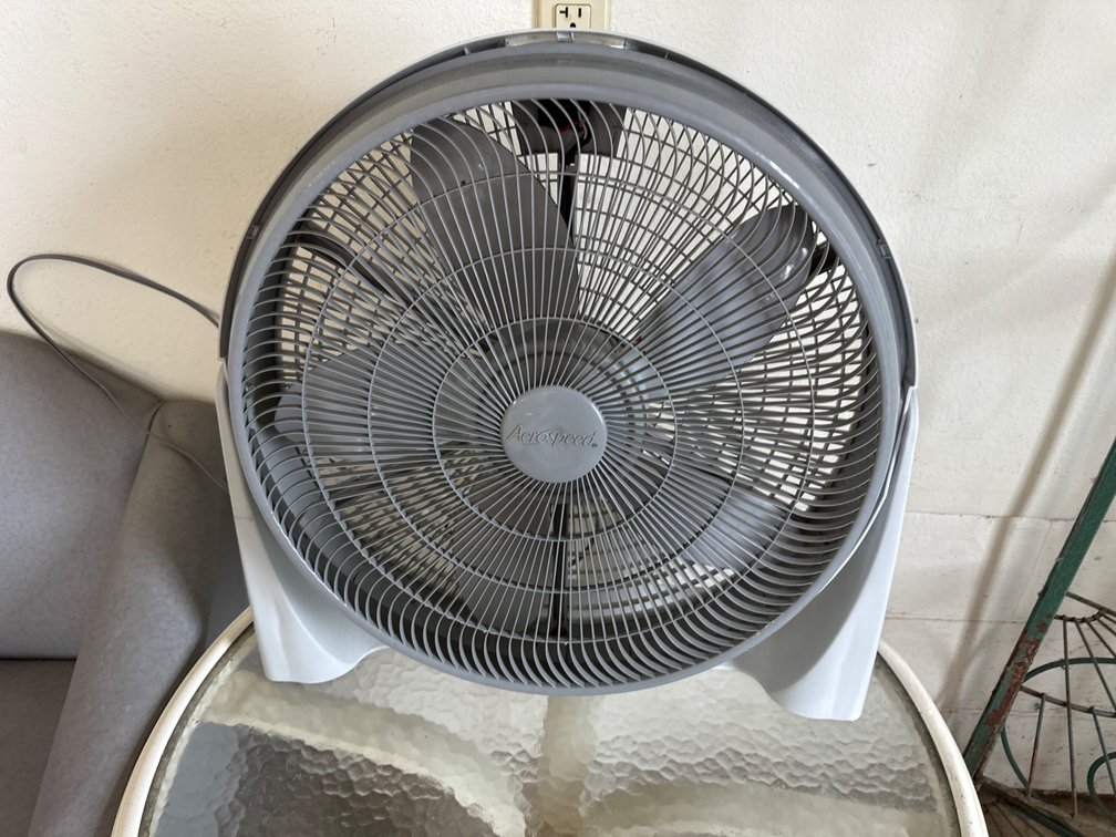 Fan