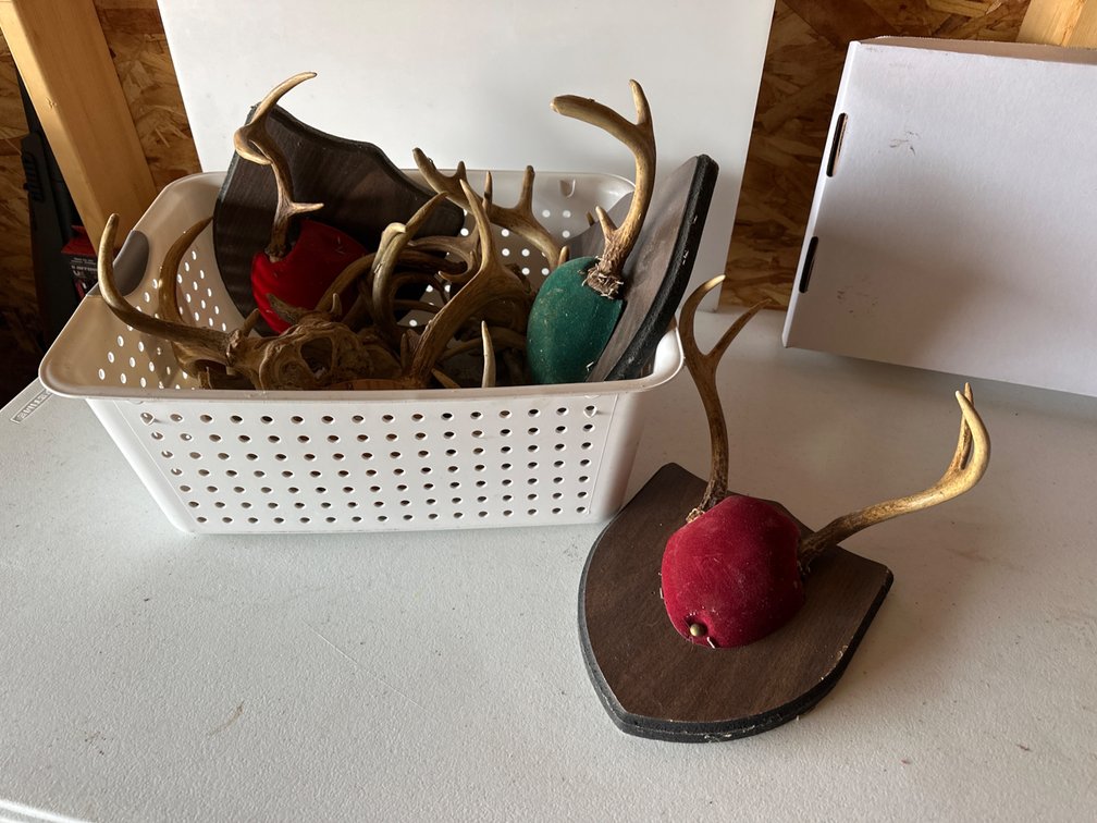 Basket with Mounted Antlers and More