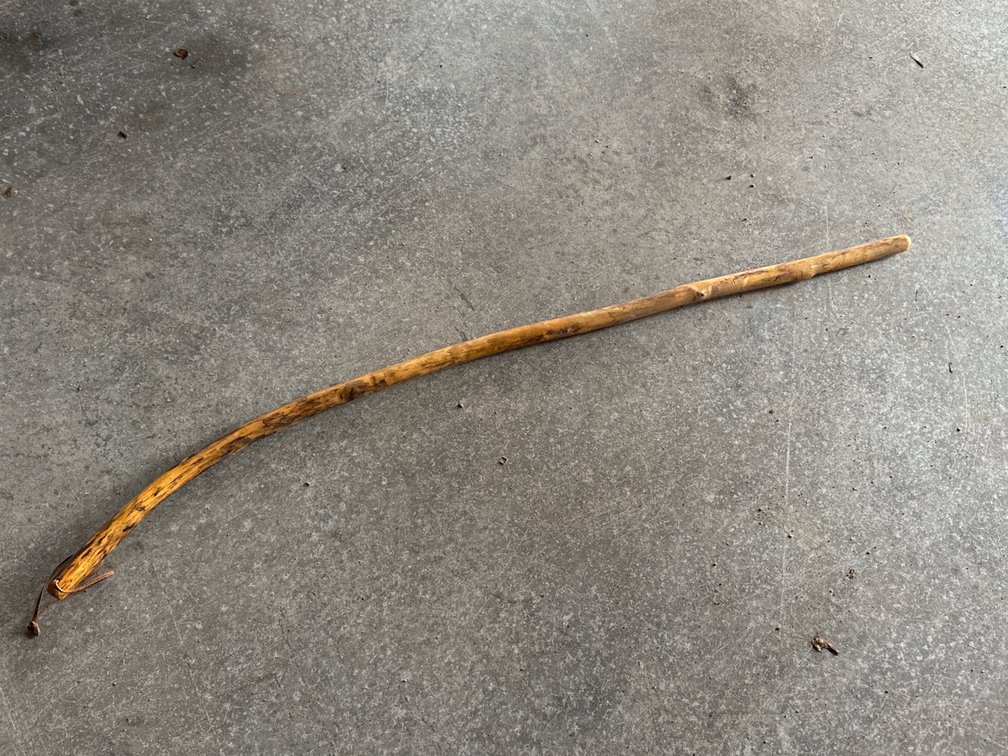 Walking Stick