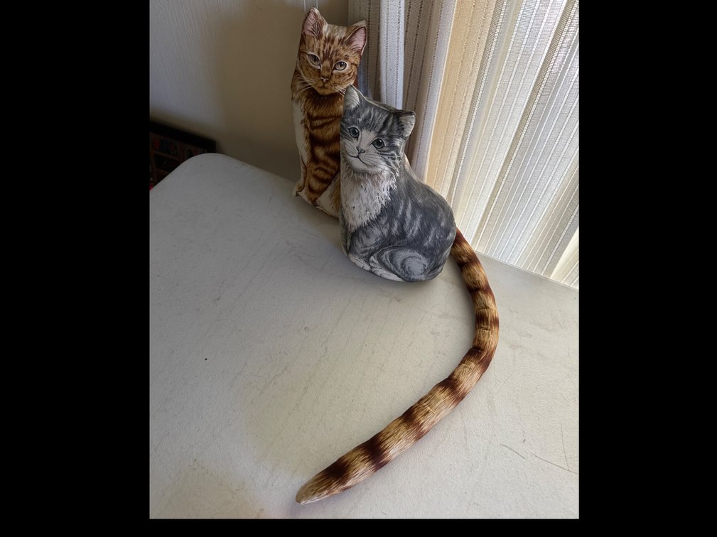 Cat Door Stops