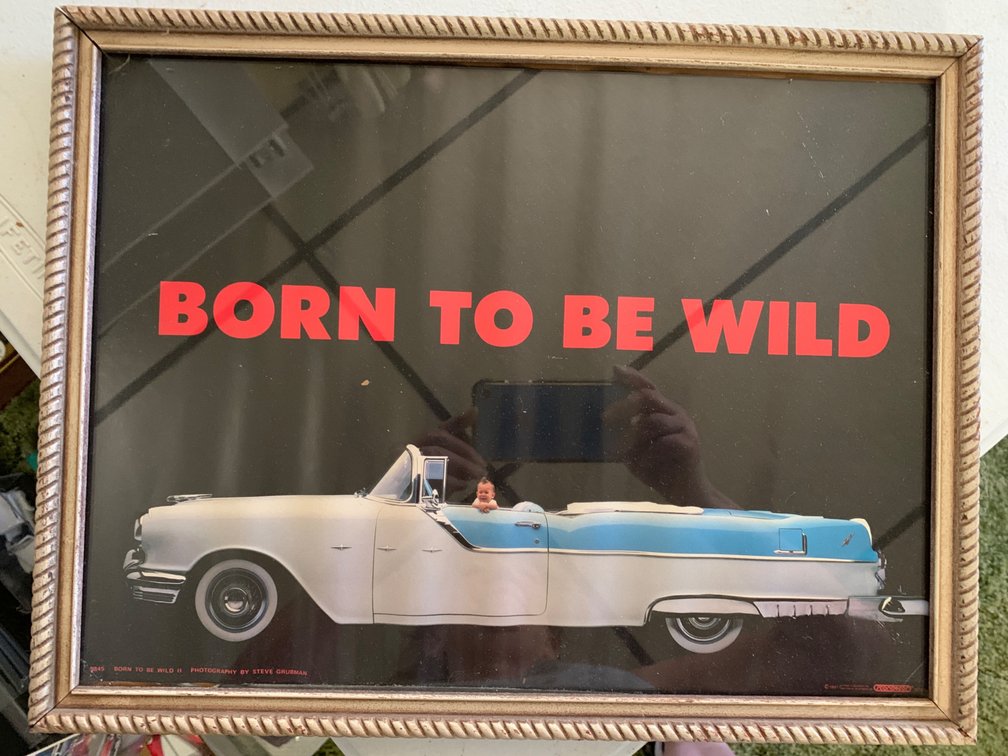 Framed Born to Be Wild Picture