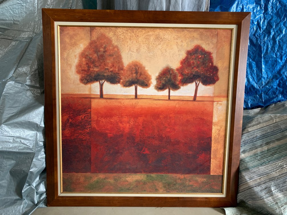 Framed Picture 42” x 42” 