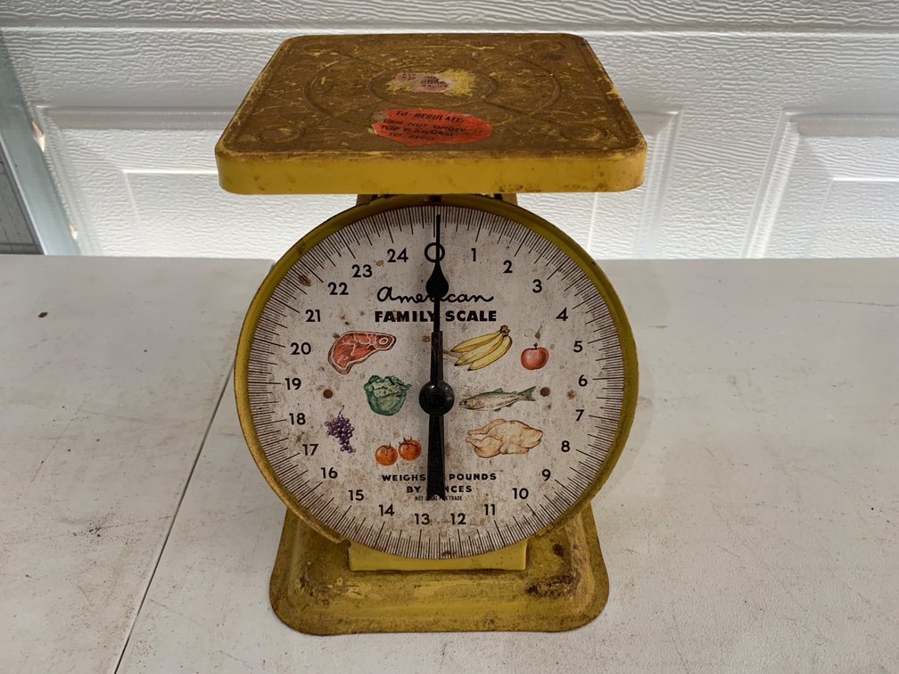 Vintage American Family Scale
