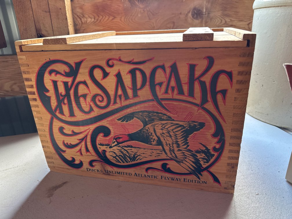 Ammo Box with 12 Gauge Shells