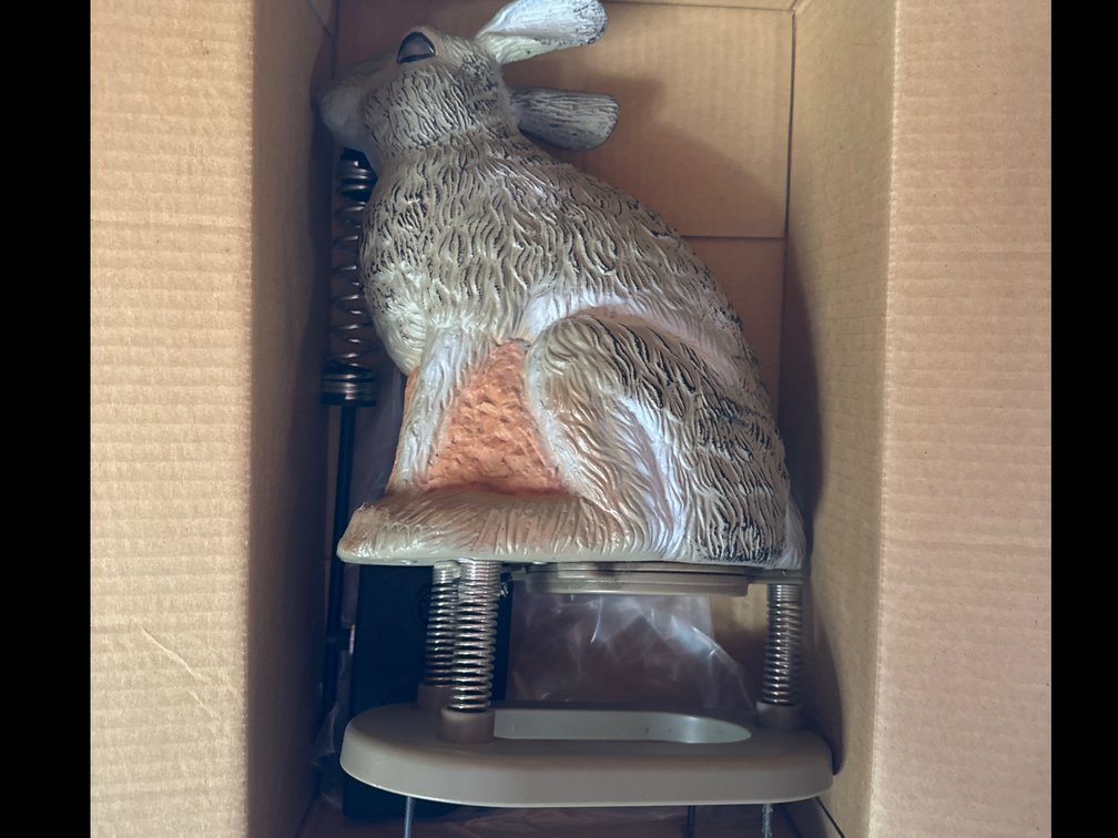 Quiver Rabbit