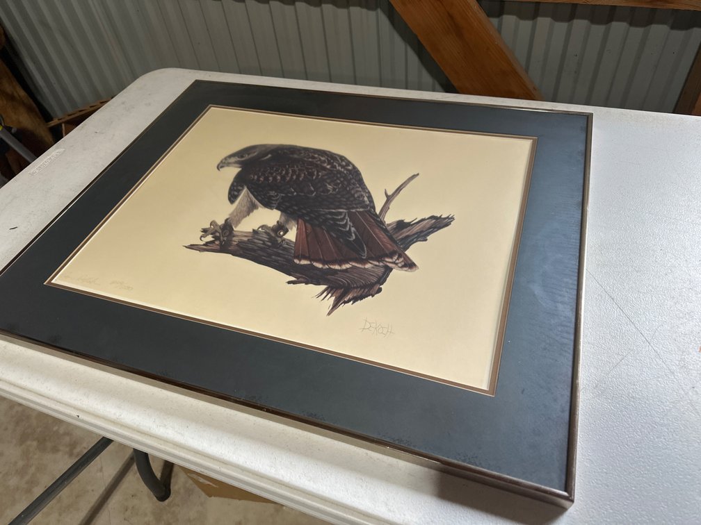 Dekoch Numbered Hawk Print - 29” X 25”