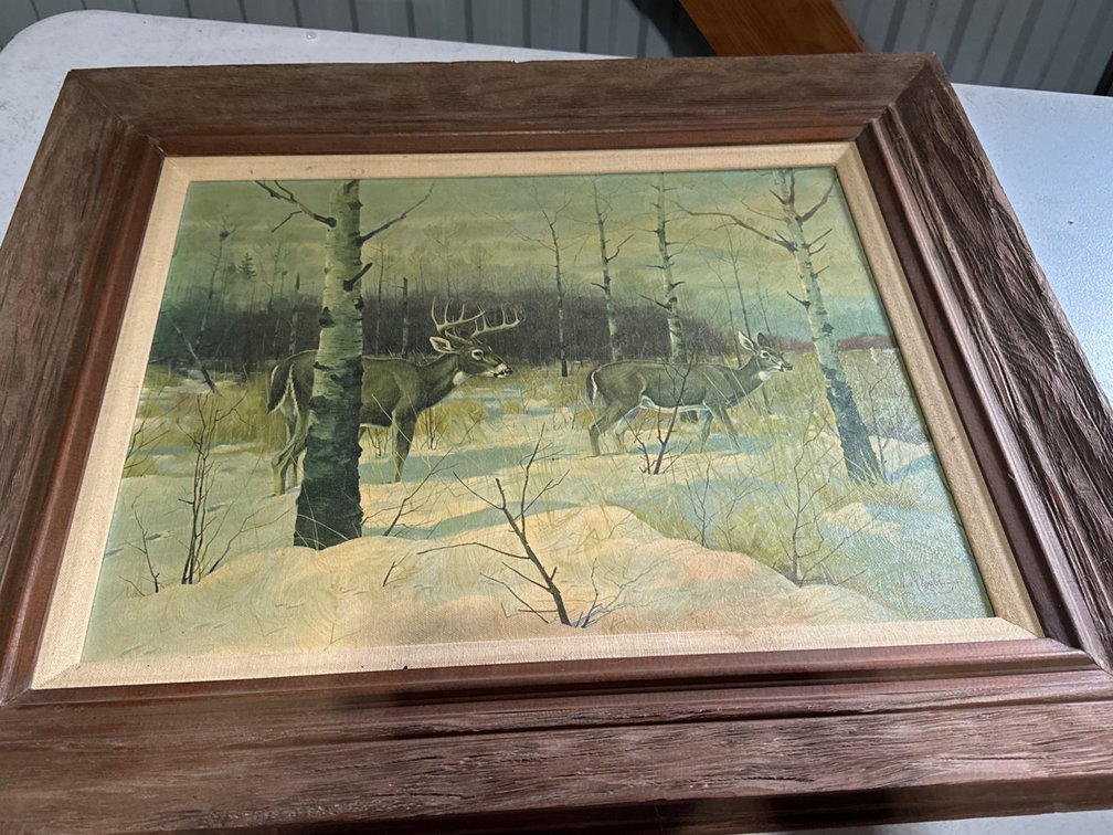 Framed Canvas Print-28” X 24”