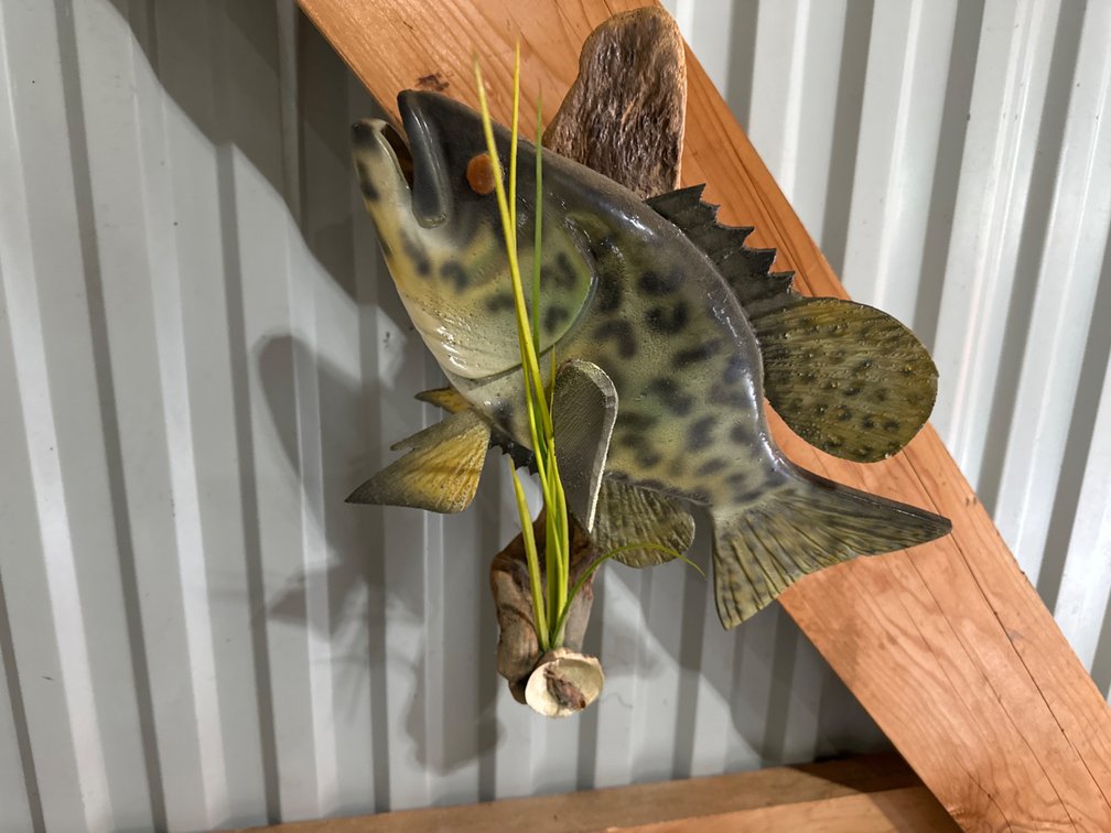 Wood Carved Crappie-13” Long