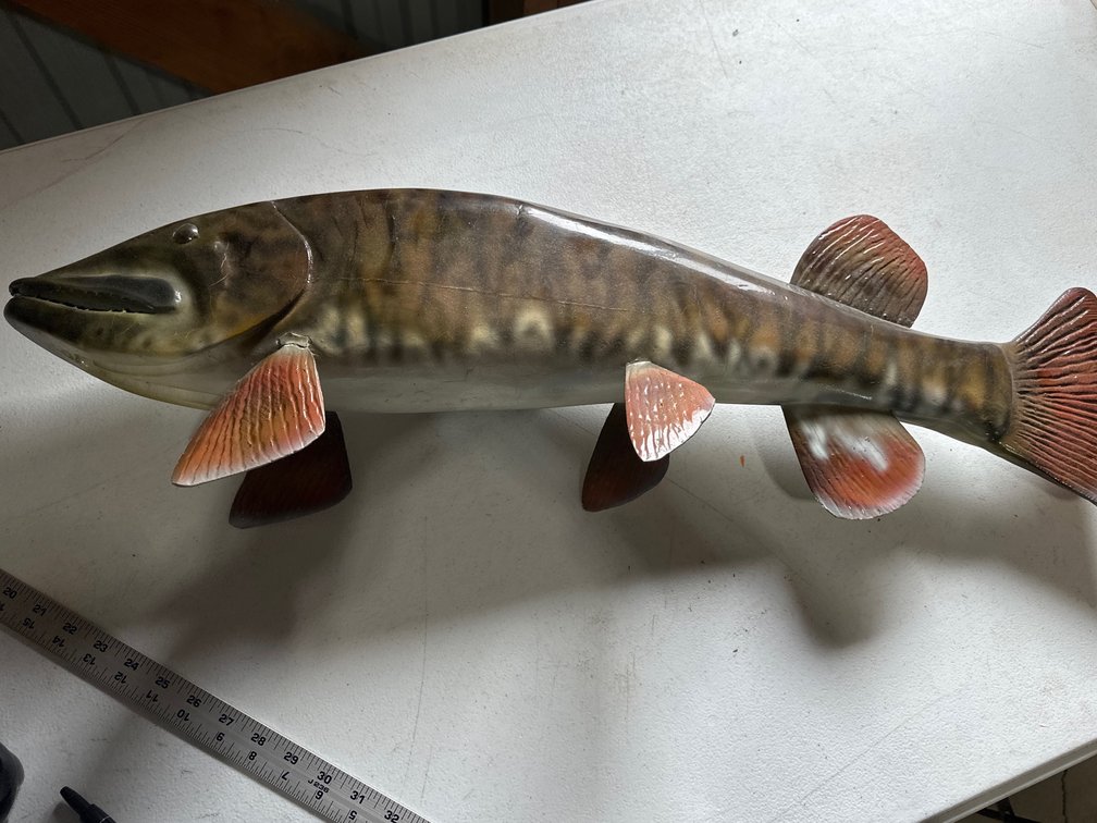 Wood Carved Musky-32” 
